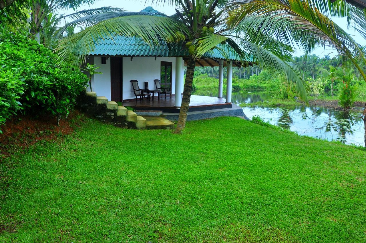 Jungle Heart Cabanas Danwattegoda Exterior foto